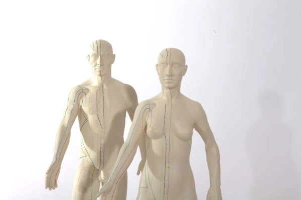 Qi Treatments Chinese Medicine Berlin Kreuzberg Tempelhof
